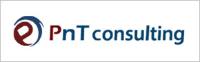 pnt consulting